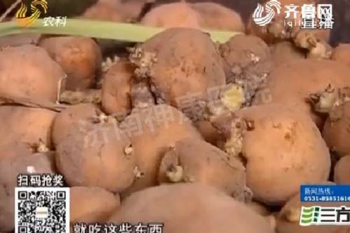 ������Ů�������ѧ������Ѹ�����ʯŮʿ�����