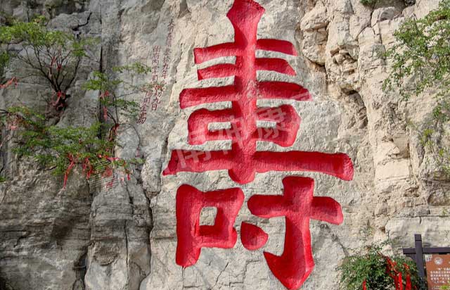 ��Լ�ᴺ�� ͬ�����Ρ�������ҽԺ��֯Ա������һ����